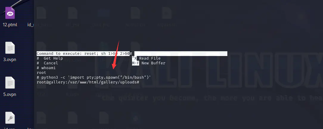 图片[71],[Thm红队]Gallery-searchsploit漏洞查询之SQL注入及权限提升(一波三折),网络安全爱好者中心-神域博客网