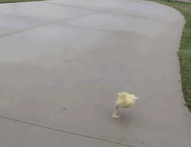 nrm2a0tplju1769.gif